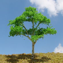 model trees